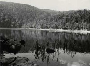 Der Lac de la Lauch in den Vogesen
