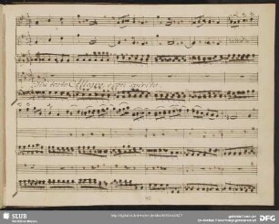 Aria: Nel linguaggio degli amanti