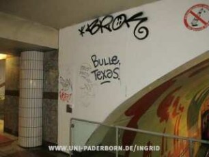 BuLLe. Texas.