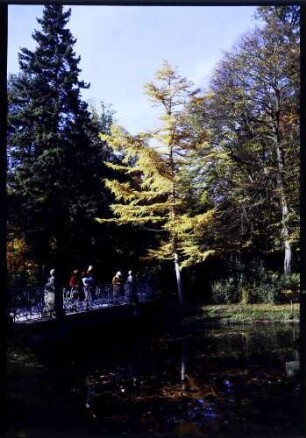 Donaueschingen: Lärche im Herbst mit Brücke im Fürstlich Fürstenbergischen Park