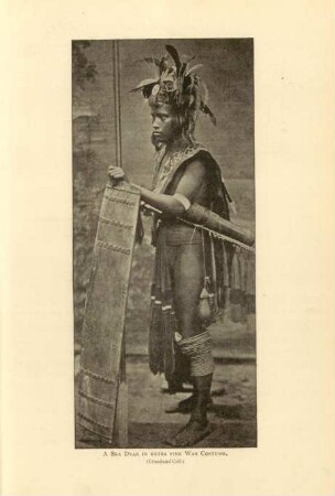 A Sea Dyak in extra fine war costume