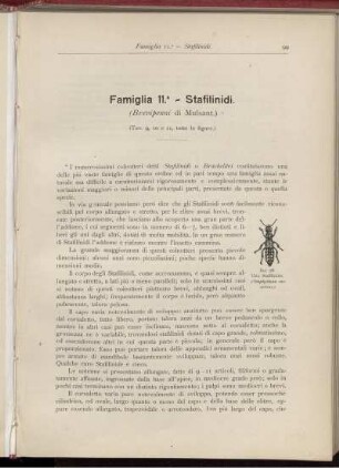 Famiglia 11. - Stafilinidi. [bis] Famiglia 20. - Cucuidi.