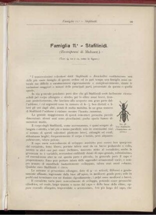 Famiglia 11. - Stafilinidi. [bis] Famiglia 20. - Cucuidi.
