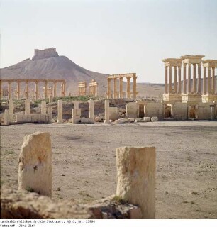 Syrien: Palmyra