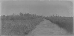 Flusslandschaft : Blick über eine Flusslandschaft.