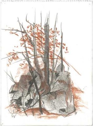Gsaenger, Gustav; Landschafts - und Gebäudestudien - Waldlandschaft (Studie)