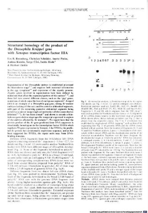 Structural homology of the product of the Drosophila Krüppel gene with Xenopus transcription factor IIIA
