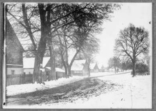 Winter in der Lausitz bei Bautzen. Zeißholz, Dorfstraße mit Linden im Winter