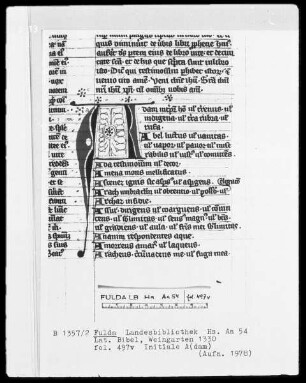 Lateinische Bibel — Initialen A (dam), Folio 497verso
