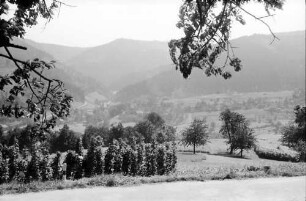 Oberbühlertal: Blick ins Bühlertal; mit Bühler Höhe
