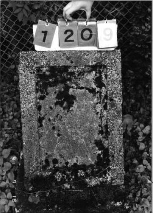 Grabstein 1209