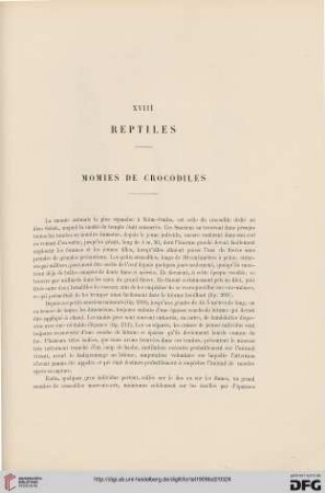 XVIII: Reptiles