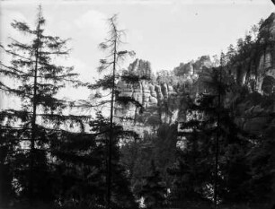 Elbsandsteingebirge : Blick durch die Wipfel der Bäume zu den Sandsteinfelsen