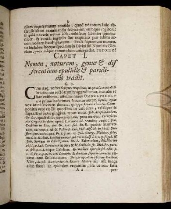 Caput I. Nomen, naturam, genus & differentiam epulidis & parulidis tradit.