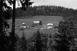 Rinkenhäuser vom gegenüberliegenden Wald