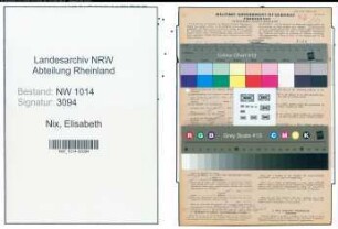 Entnazifizierung Elisabeth Nix , geb. 08.01.1904 (Haendlerin)