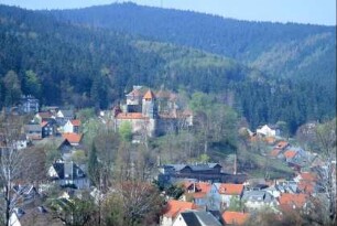 Ortsansicht mit Schloss und Wald