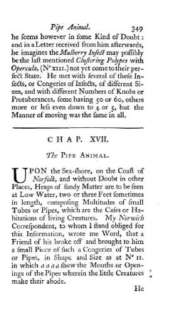 Chap. XVII. The Pipe Animal
