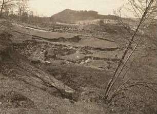Erdrutsch am Hopfenberg bei Bodenbach ("Schwemme")