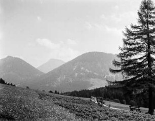 Umgebung von Jungholz