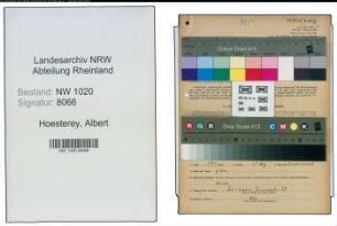 Entnazifizierung Albert Hoesterey , geb. 04.10.1909 (Fabrikant)