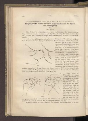 Röntgenologische Studien über einige Epiphysennebenkerne des Becken- und Schultergürtels.