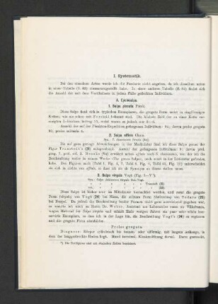 I. Systematik