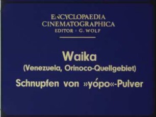 Waika (Venezuela, Orinoco-Quellgebiet) - Schnupfen von »yópo«-Pulver