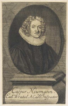 Bildnis des Caspar Neumann