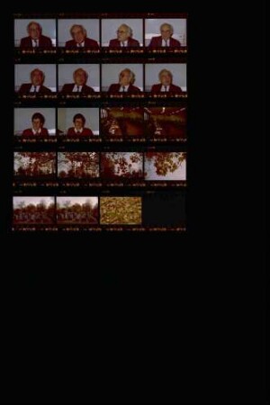 Landesarbeitsamtspräsident Harry Meisel Landesschau-Bilder: Herbst