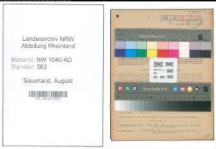 Entnazifizierung August Sauerland , geb. 06.09.1904 (Gemeindevertreter)