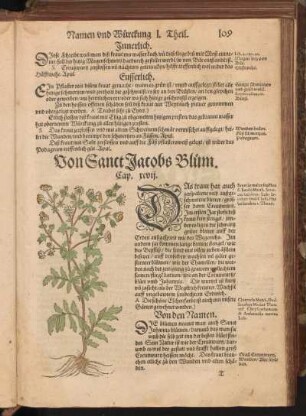 Von Sanct JacobsBlum, Cap. XCVII