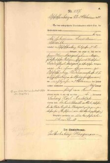 Standesamtsbuch der Stadt Aschaffenburg: Geburten 365/1900 - 184/1901