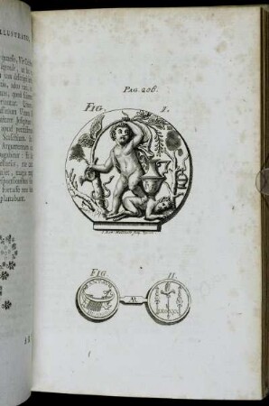 Pag. 206. Fig. I.