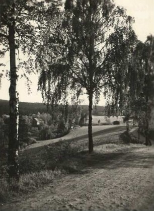 Vogtland, nördlich von Plauen. Nymphental mit der Pfaffenmühle von der Straße Röttis - Jößnitz