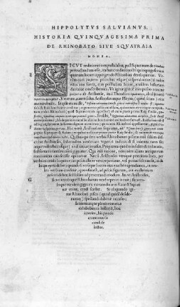 Historia Quinquagesima Prima. De Rhinobato sive Squatraia