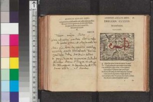 Braun, Nicolaus; Blatt 185