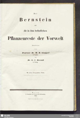 1,1: Der Bernstein und die in ihm befindlichen Pflanzenreste der Vorwelt : mit sieben lithographirten Tafeln