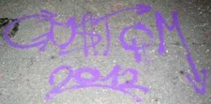 CUSToM 2012
