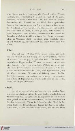 Zagel – Zwispalt beinlein