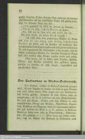 Der Safranbau in Nieder-Oesterreich