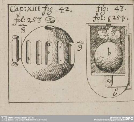 Cap: XIII fig: 42. fol: 253. fig: 43. fol: 254.