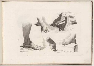 Vorlagenblatt mit Füßen, aus dem Zeichenbuch mit nachgeahmten Stichen aus Piazzettas "Studi di Pittura" [Venedig 1761]