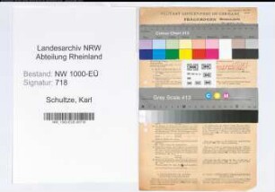 Entnazifizierung Karl Schultze, geb. 29.11.1905 (Referent)