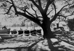 Archivfotografie "ausland_sri-lanka_verschiedenes_on02"