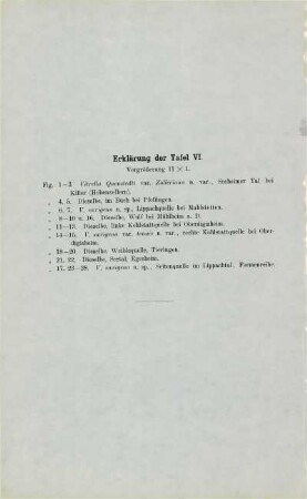 Erklärungen der Tafel VI