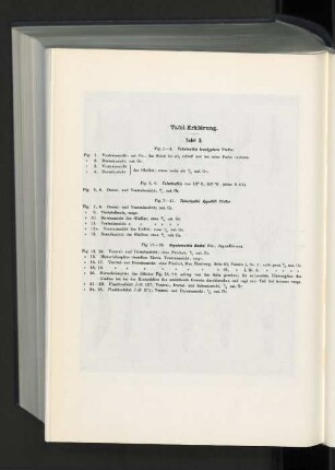 Tafel-Erklärung. : Tafel 3. Fig. 1-4. Teleoteuthis brachyptera Pfeffer.