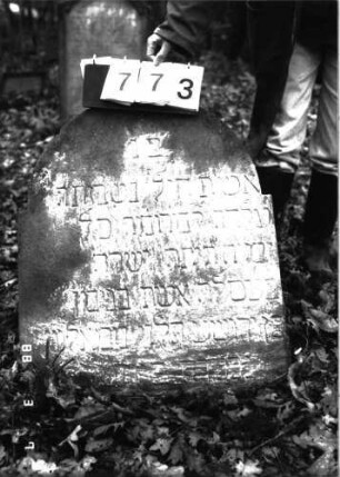 Grabstein 773