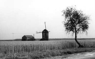 Wiesenburg/Mark-Reppinichen. Bockmühle und Umfeld, Nr. 136