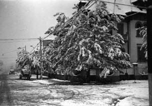 Bukarest: Im Winter, Straße Dr. Lister im Schnee